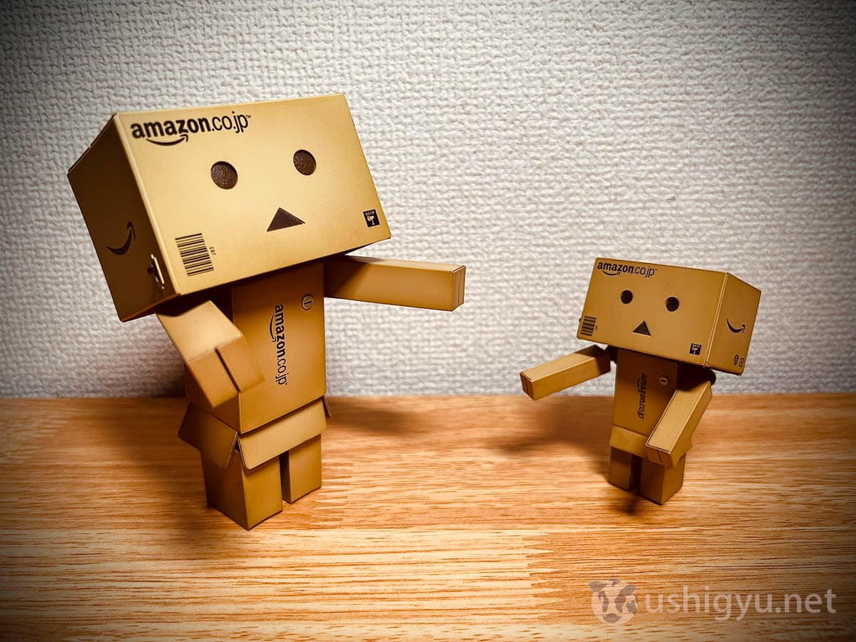 Amazonダンボー