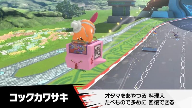 コックカワサキ参戦！